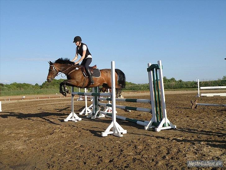 Anden særlig race Jussie - Træning :) billede 11