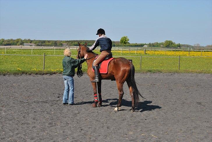 Traver Oscar Fønix - Louise som er oppe på ham.  billede 5