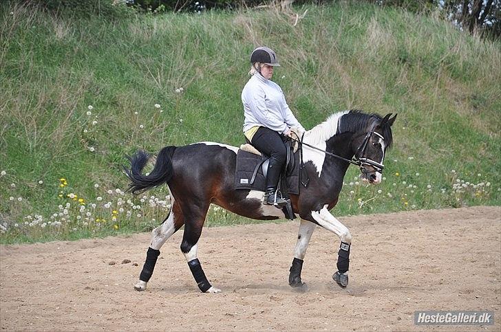 Pinto Jasmin Engbo - jeg elsker dig <3 billede 16