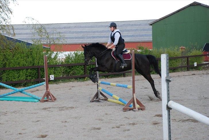 DSP Petit Cyrenaika - undervisning 5/5-10 billede 7