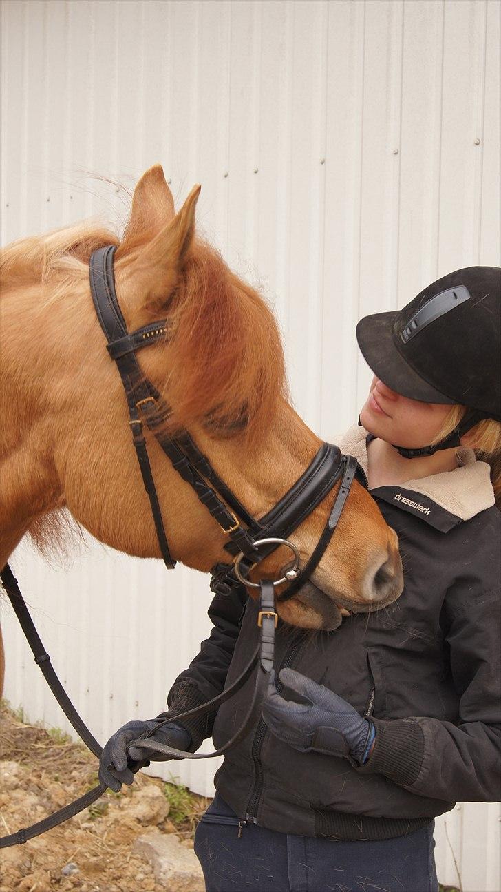 Anden særlig race Bonfire ( tidl. halvpart) - FOTO: Sofie Amalia Boye  billede 5