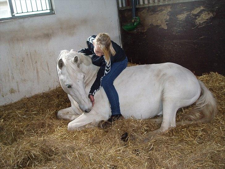 Anden særlig race MisseKatten Lucas<3 - 14)Tillid kommer med tålmodighed gør dig selv den tjenste og have den tålmodighed!<3          L8 foto billede 10