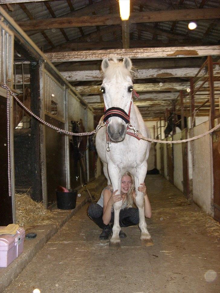 Anden særlig race Maxi - Sjovt har det altid været :i<3 billede 5