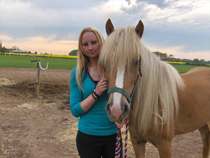 Haflinger Anna-Bell - velkommen til Anna-Bell's profil :) tag et kig og læg gerne en kommenter+bedømmelse :D tak <3 billede 1