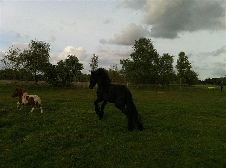 Frieser Chelly<3 billede 16