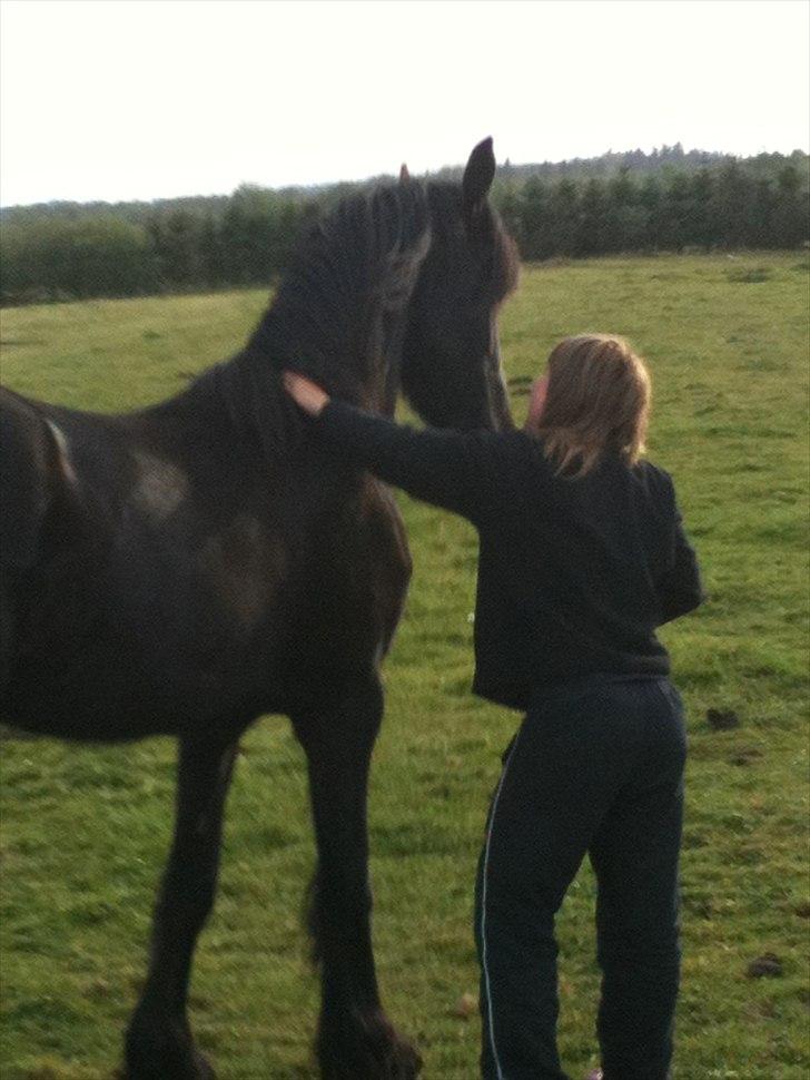 Frieser Chelly<3 billede 17
