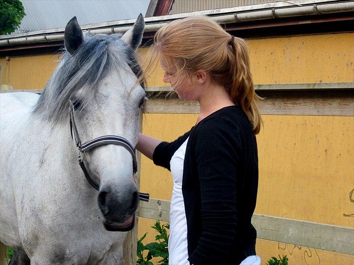 Connemara | Nørlunds Irish Rose | Made in heaven -  A true friend :) <3 
Foto: Samanta Stouenborg  billede 10