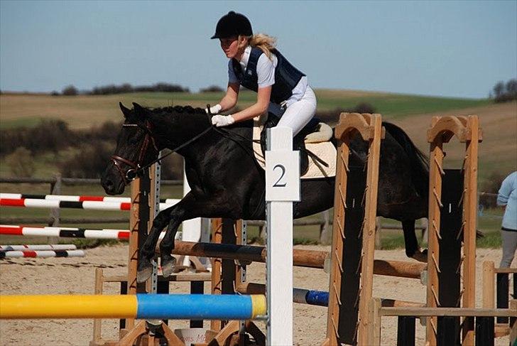 DSP speedy enduro  - josefine og speedy til stævne billede 5