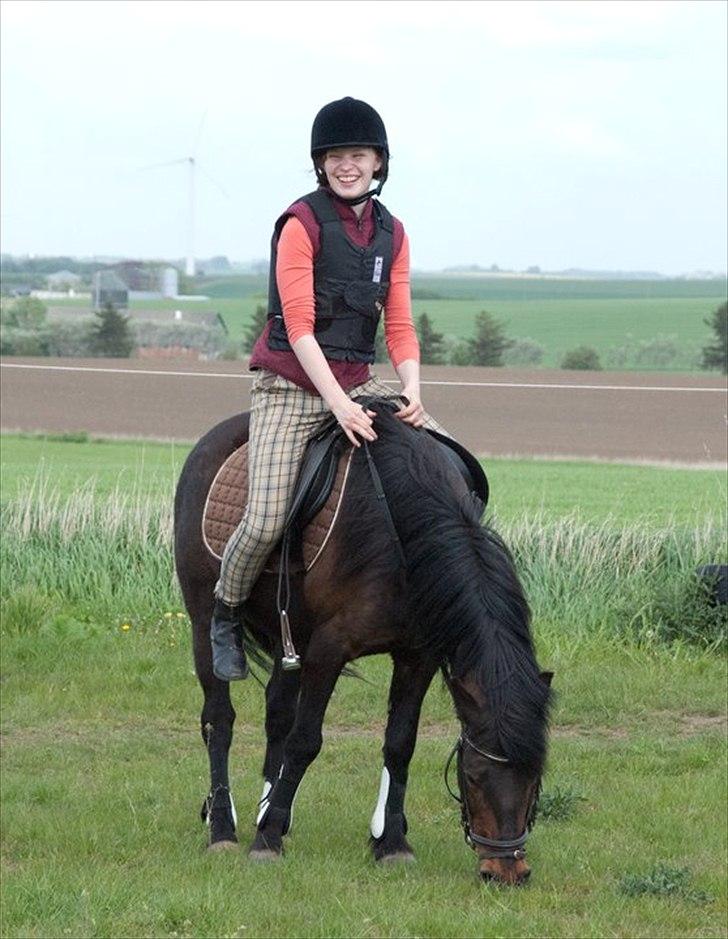 Anden særlig race Mr. Winchester- Winni *SOLGT* - Lige efter jeg var faldet af i spring.. men kom op igen og sprang.. :-)  billede 8