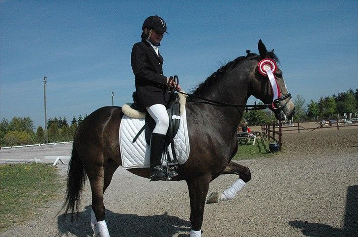 Anden særlig race Hera - Følle & Jeg har lige vundet LB1. - Vi var vist begge to ret stolte!♥♥ 

 billede 5