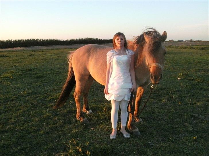 Anden særlig race Smilla billede 14