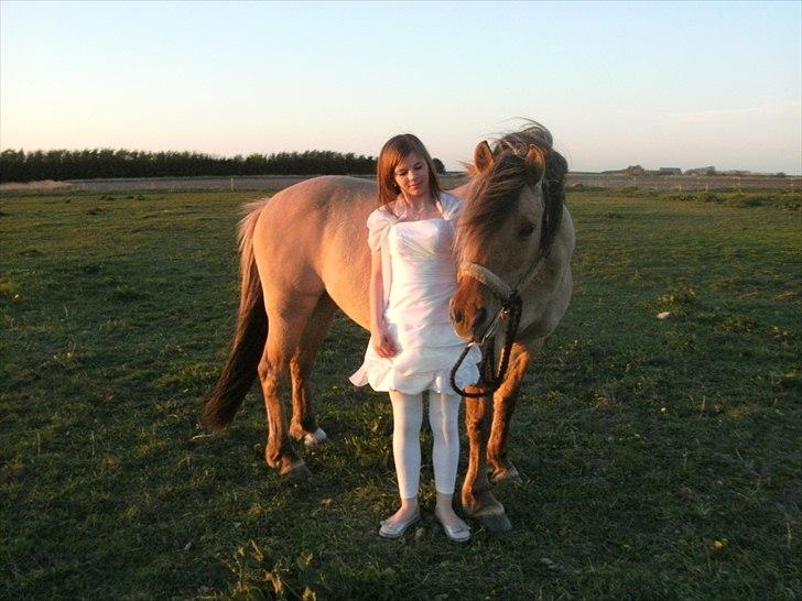 Anden særlig race Smilla billede 15