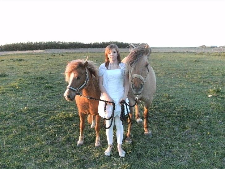 Anden særlig race Smilla billede 16