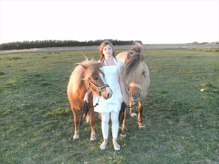 Anden særlig race Smilla billede 17