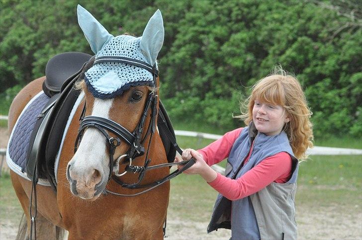 New Forest EgHolms Malou <3<3 billede 19