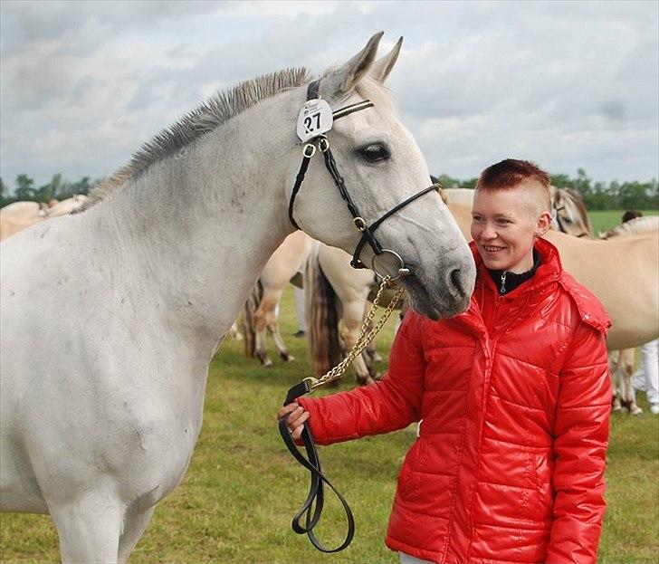 Shagya Araber (SH) Bonjour la chaise *R.I.P. 06-11-12* - Foto: Joan Krag billede 16