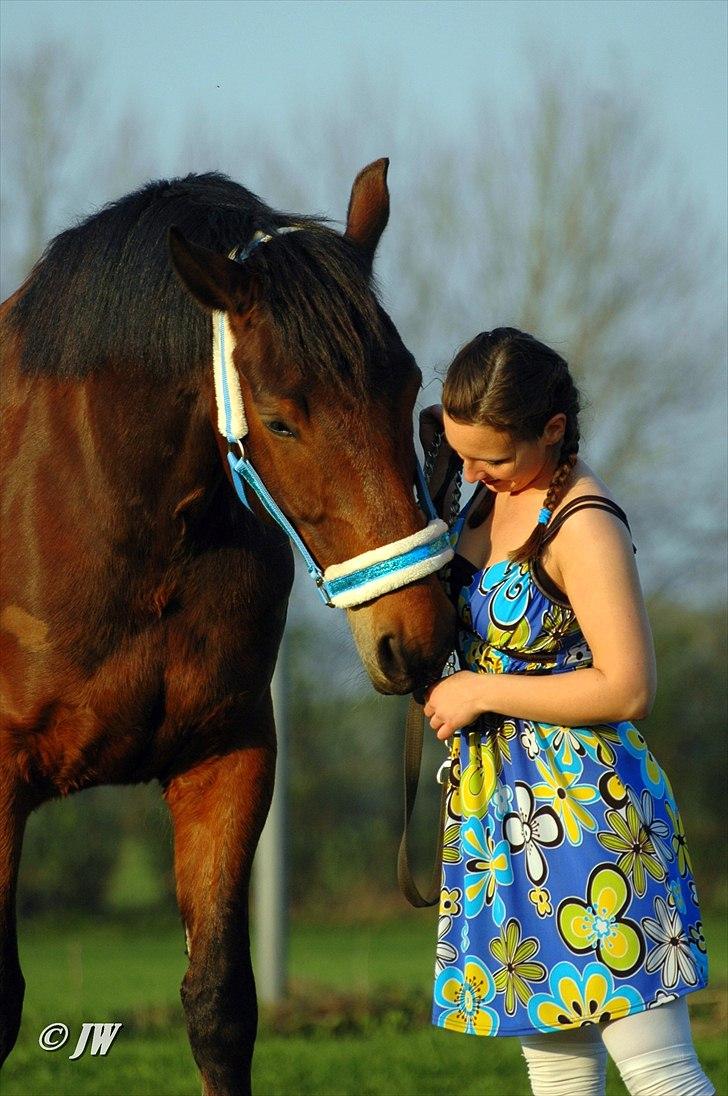 Anden særlig race Stauslykkes Le'Cato - © JW April 2011 billede 17