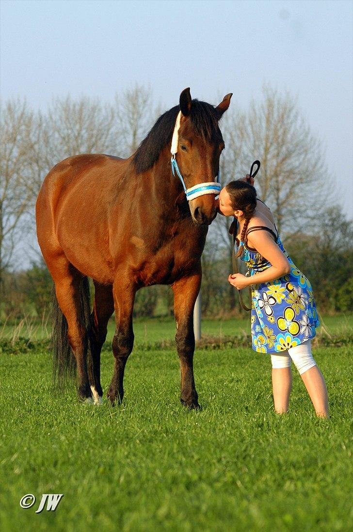 Anden særlig race Stauslykkes Le'Cato - © JW April 2011 billede 18