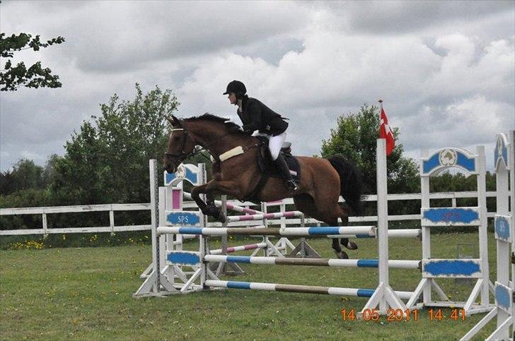 Dansk Varmblod Chili Z Ramona - Chili og jeg i en  LC på SPS :D Stjerne hest - 0 rundte :D billede 16