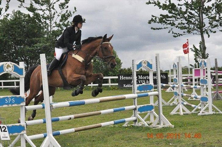 Dansk Varmblod Chili Z Ramona - Chili og jeg i en LC på SPS :D Stjerne hest - 0 rundte :D billede 17