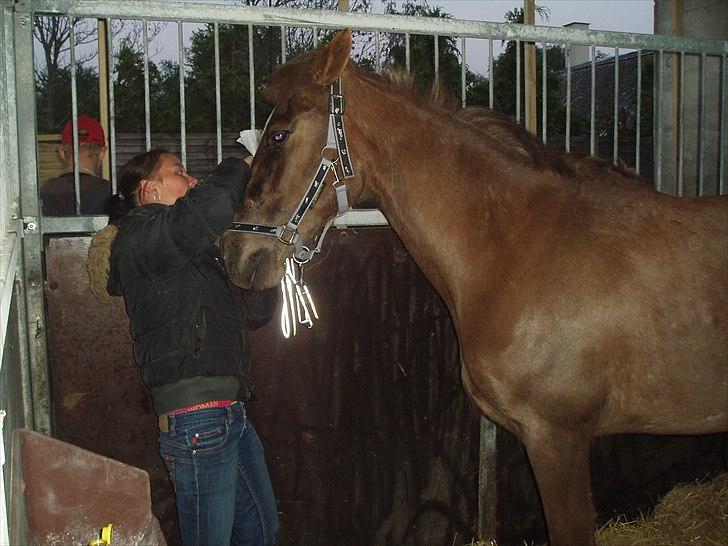 Anden særlig race laura solgt billede 2