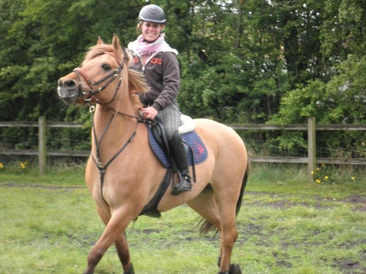 Anden særlig race Lucky Carisma billede 12