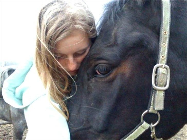 Anden særlig race Bakkes indy - jeg er så usikre billede 12