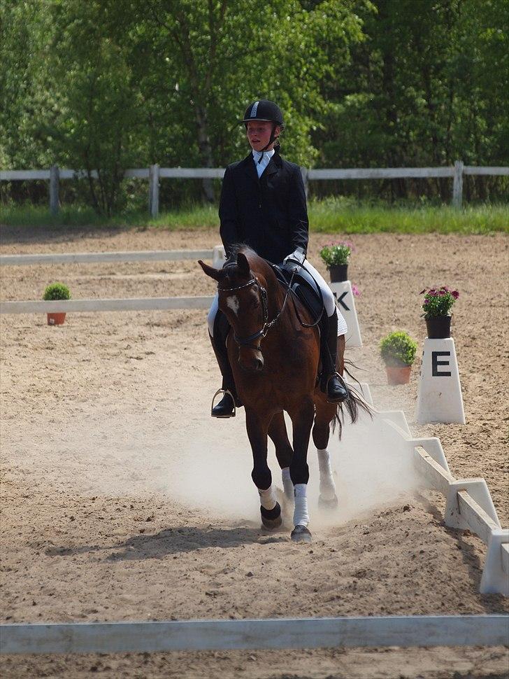 DSP Ibrahim billede 17