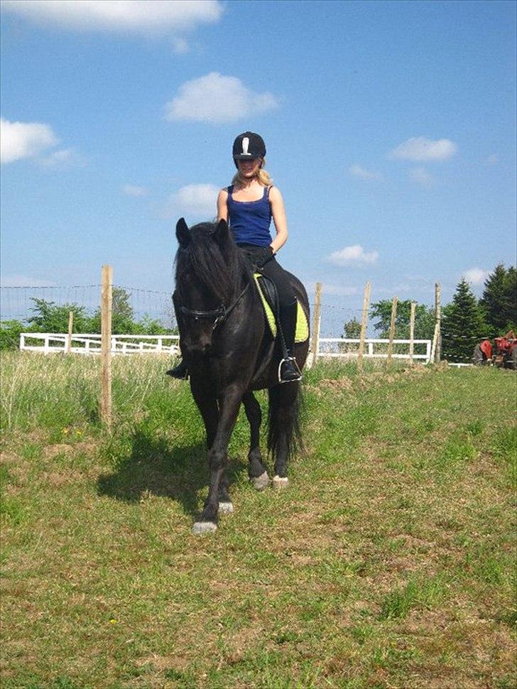 Anden særlig race Eskelys Monty  billede 18