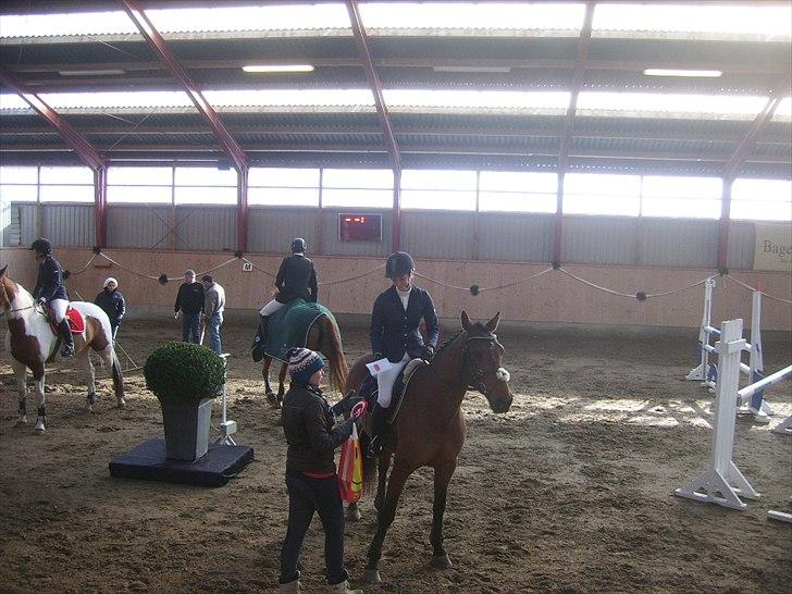 Anden særlig race Aktiv Junior (Lånehest) - Vundet LB til c-stævne i AAGS forår 2011 billede 10