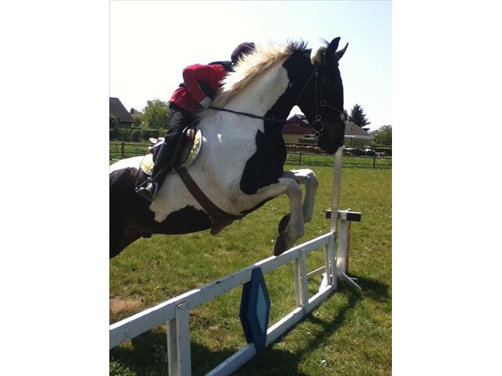 {{currentPhoto.altText}} billede {{currentPhoto.number}}