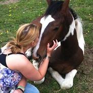 Pinto Sønderstrands Buzz Light Year PIH 121