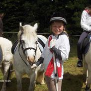 Welsh Mountain (sec A) Fruemoses Chopin