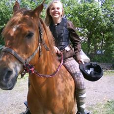 Arabisk fuldblod (OX) Jorik <3