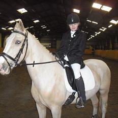 Palomino Isabella