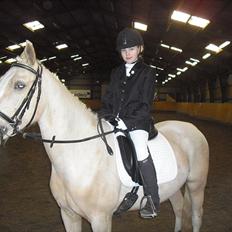 Palomino Isabella