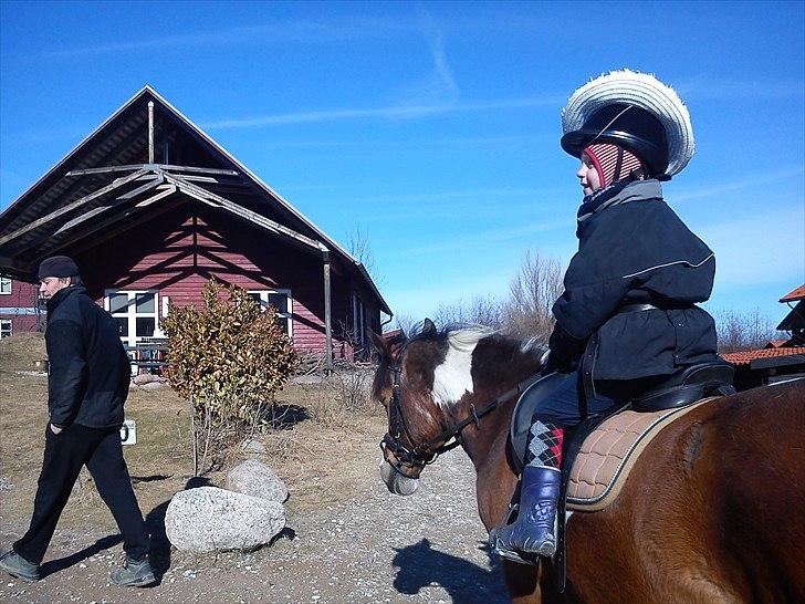 Pinto TIPPI<3  - 3. Fordi ALLE elsker dig<3 Foto: mig. billede 3