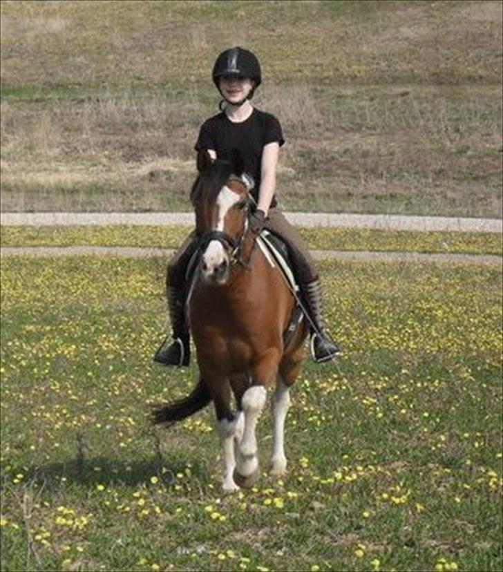 Pinto TIPPI<3  - 5. Fordi det er os to for evigt (næsten da?) <3 Foto: Zenia, tror jeg:) billede 5