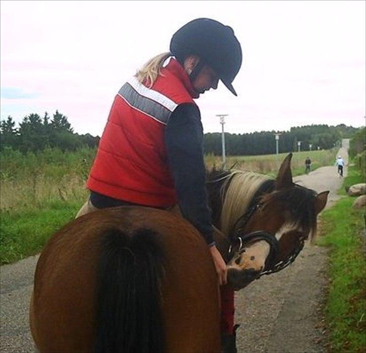 Pinto TIPPI<3  - 11. Når enden er god, er alting godt:) Farvel:) Foto: Cecilia, tror jeg;) billede 11