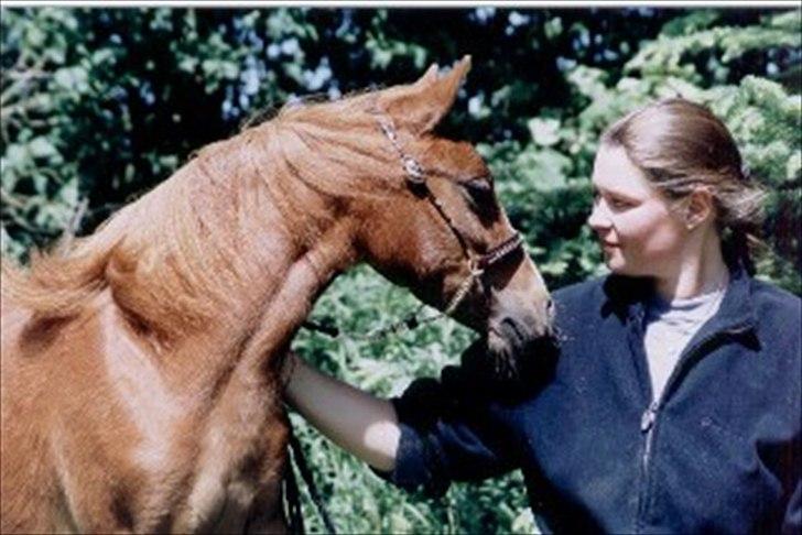 Welsh Partbred (Sec F) Evita Engmarkshus - Evita og mig sommer 2005 billede 8