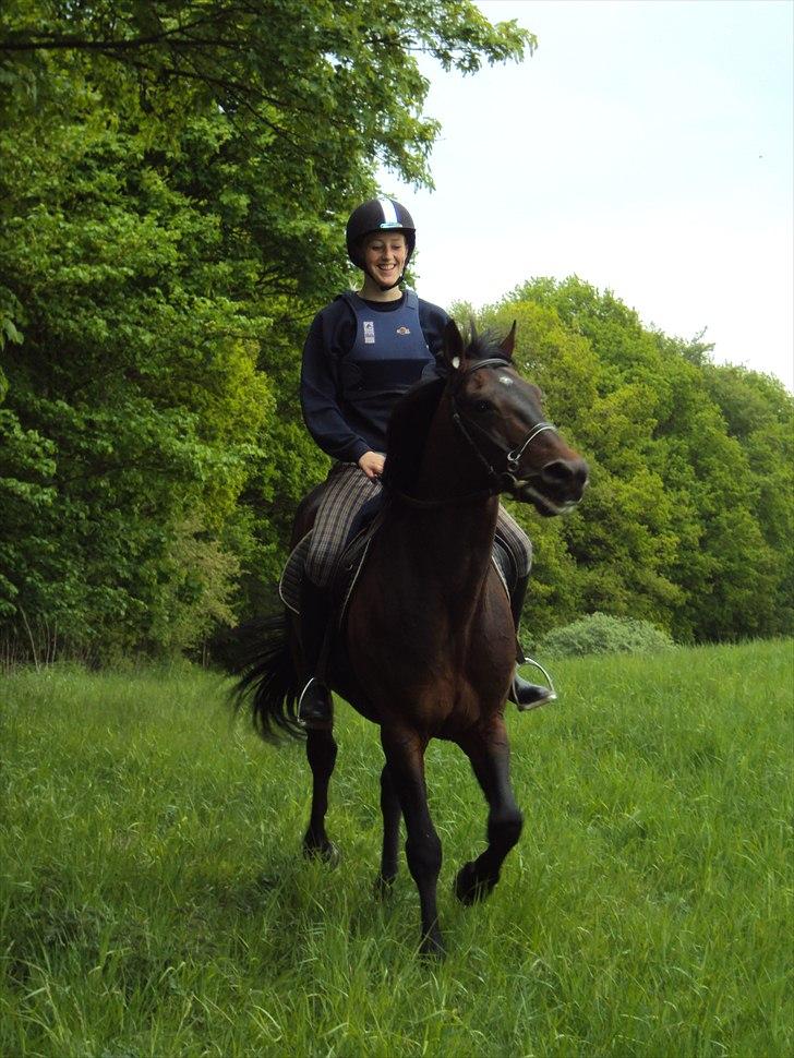 Traver Nikotin - 17) Foto: Helena billede 17