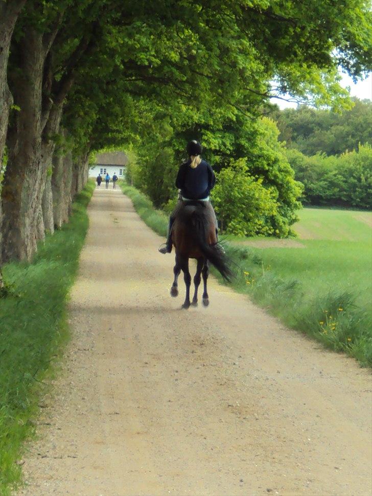 Traver Nikotin - 20) tak fordi i kiggede forbi;). Foto: Helena billede 20