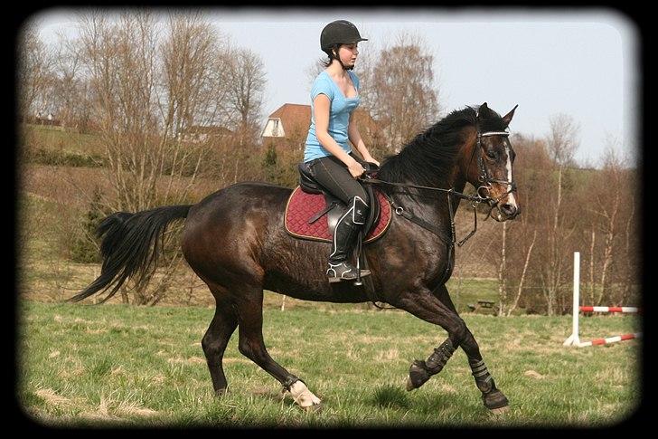 Anden særlig race Rosalin *Gl. part* - Friendship is the only cement that will hold the world together<3 billede 10