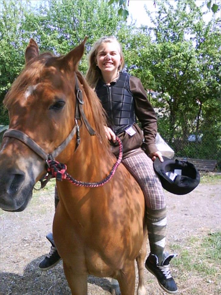 Arabisk fuldblod (OX) Jorik <3 - <3 billede 3