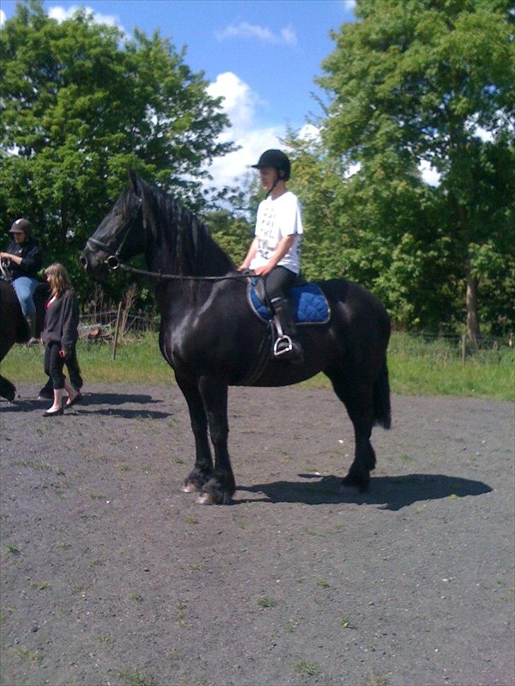 Anden særlig race Santana billede 1