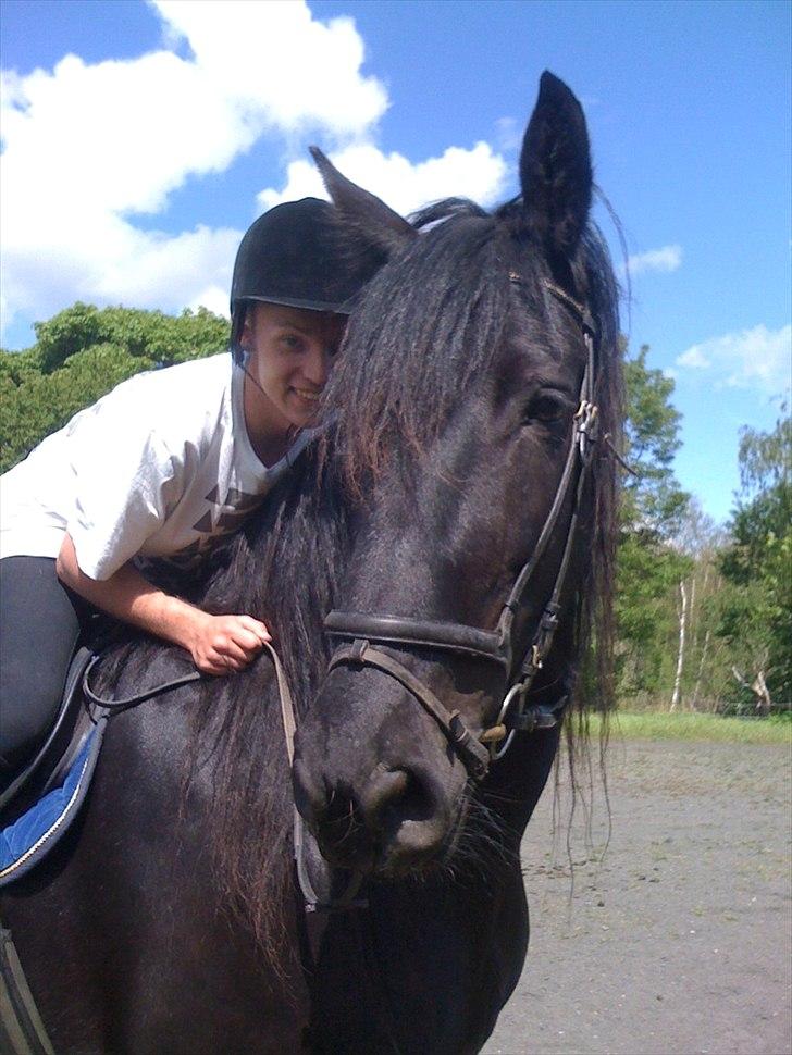 Anden særlig race Santana billede 6