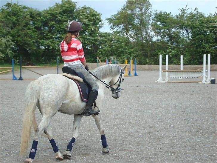 DSP Holmgaards Galant SOLGT billede 10