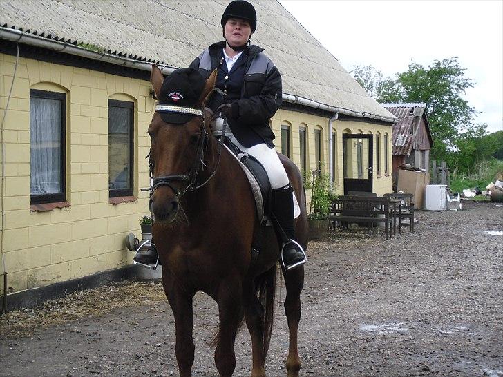 Dansk Varmblod SAM-SON ENSHØJ DV 792 RIP :-( billede 5