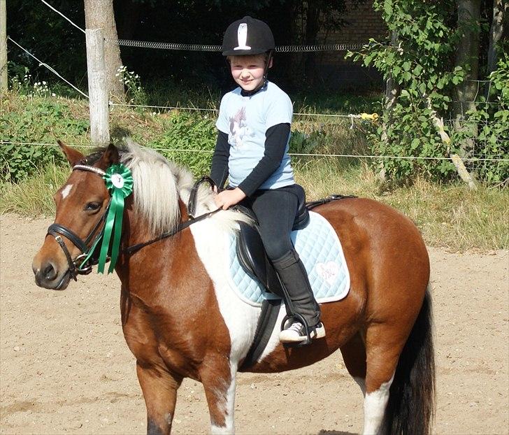 Anden særlig race • Wendy Van Wanten • RIP 31/1-10 • - 4. plads i LD1 - første stævne billede 11