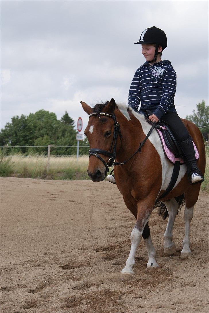 Anden særlig race • Wendy Van Wanten • RIP 31/1-10 • - Første undevisning hos Karina billede 3